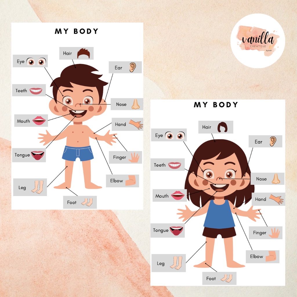 Body Parts Recognition Body Parts Matching Montessori Early Learning
