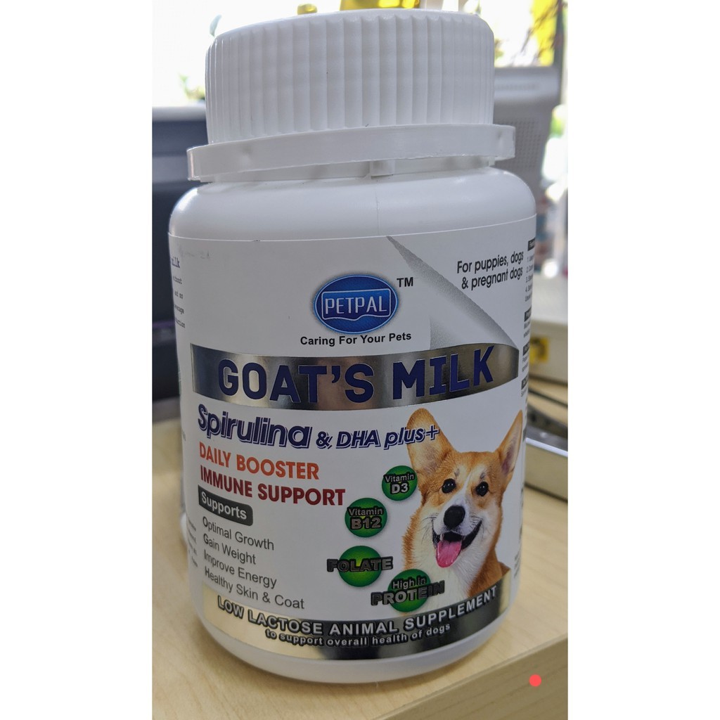 can-i-give-my-pregnant-dog-goats-milk