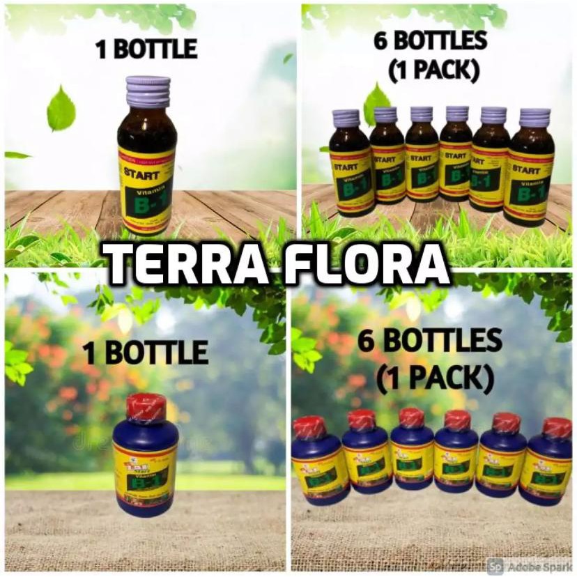Vitamin b1 100ml, 1 bottle, fertilizer BeeCost