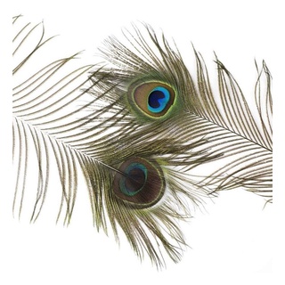 10 pcs set Original peacock feathers 37inches to 40 inches/mayil iragu ...