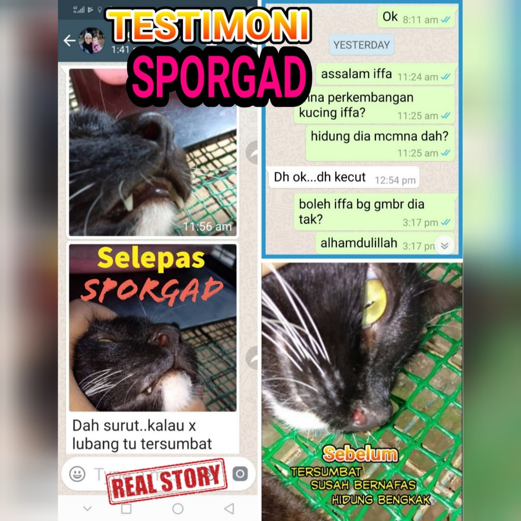 UBAT SERBAGUNA Kucing Sakit BERJANGKIT MATA PARVO SPORO Kudis Luka 