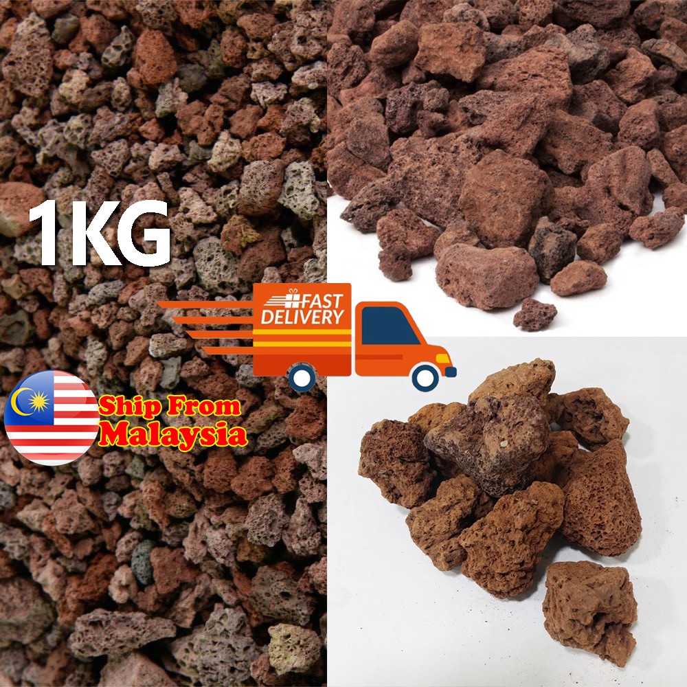 1kg Lava Rock Volcano Rock (+ 18cm) High Grade Aquarium Filter Media Lava Stone AZRA GREEN