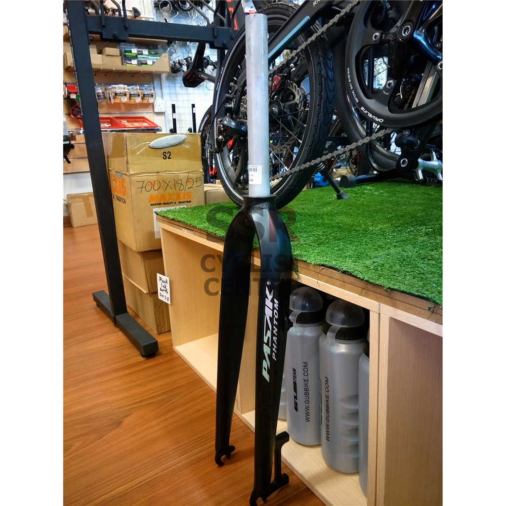 pasak fat bike fork