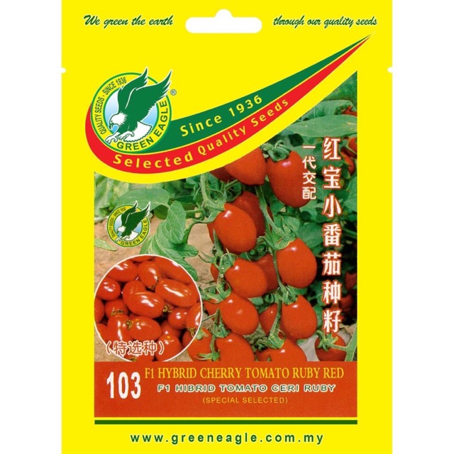 103 F1 HYBRID CHERRY TOMATO RUBY RED TOMATO CERI RUBY 紅宝小番茄种籽 Shopee