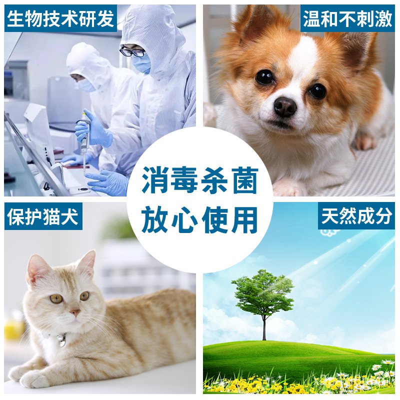 安立消42犬瘟细小病毒消毒液水除味剂除宠物祛味臭去尿味 Shopee Malaysia