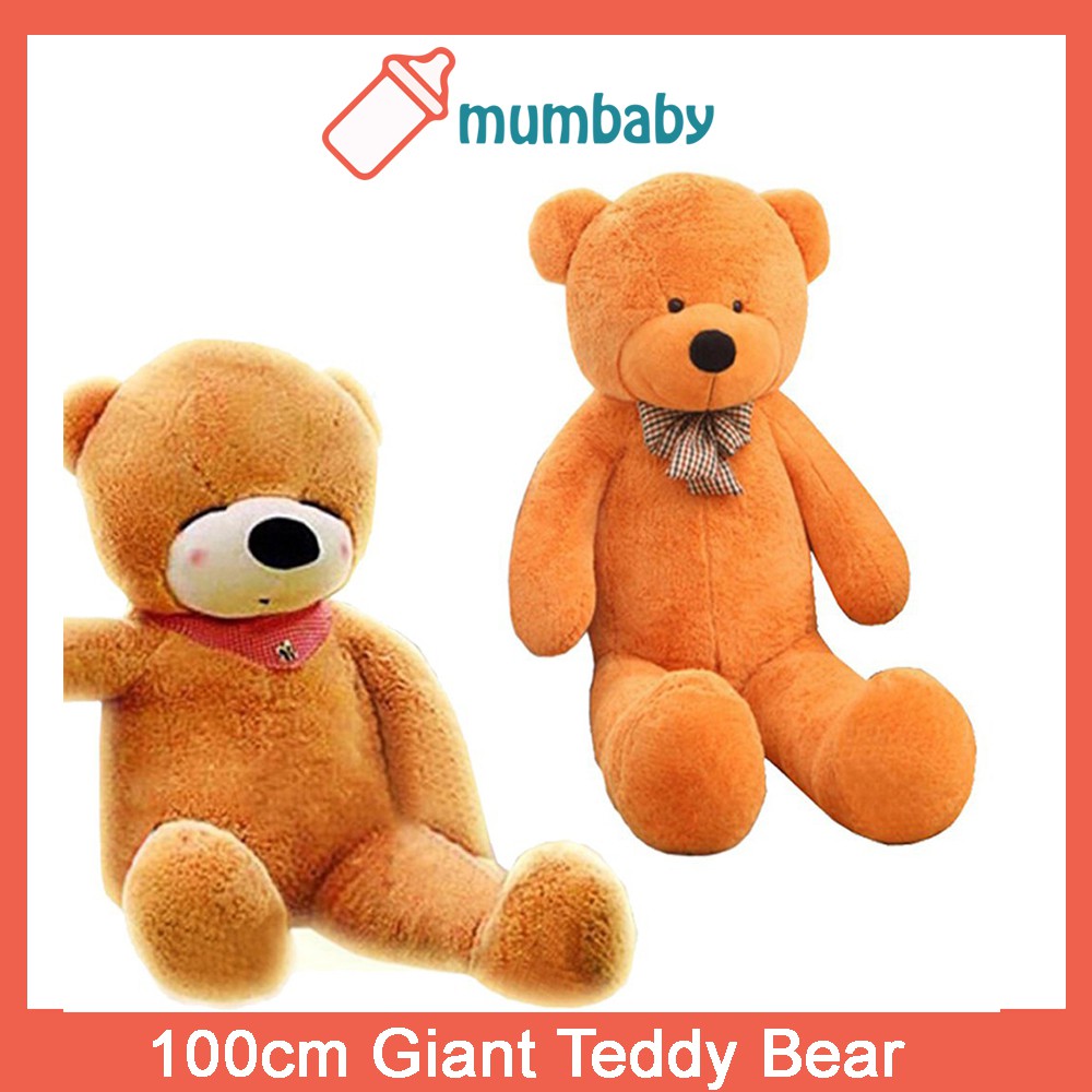 100cm teddy