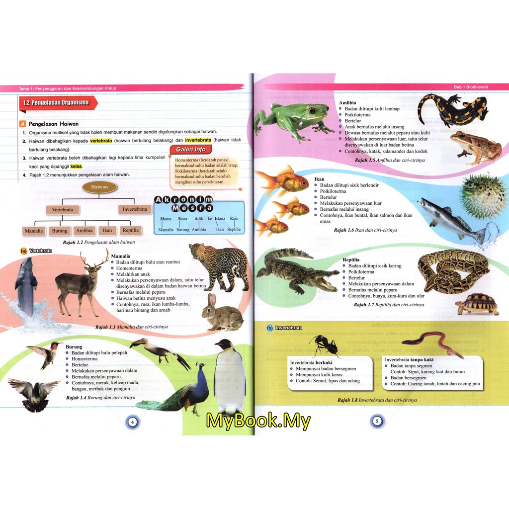 Myb Buku Rujukan Nota Spotlight Pa21 Tingkatan 2 Sains Pan Asia Shopee Malaysia