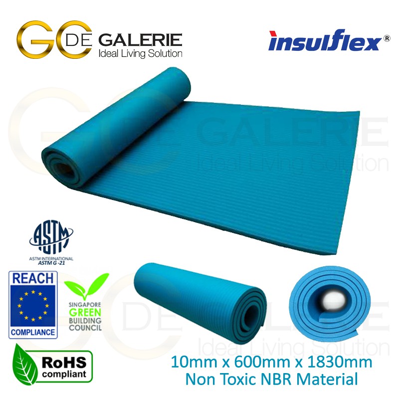 Premium Grade Yoga Mat Exercise Mat Anti Slip Anti Skid 10mm Thick Insulflex Non Toxic Material Ready Stock Shopee Malaysia