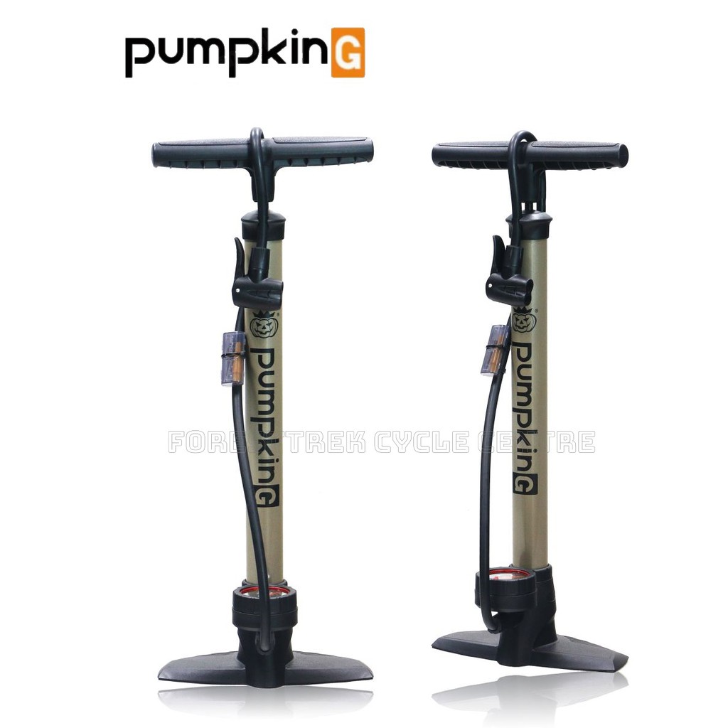 cycle pump with gauge