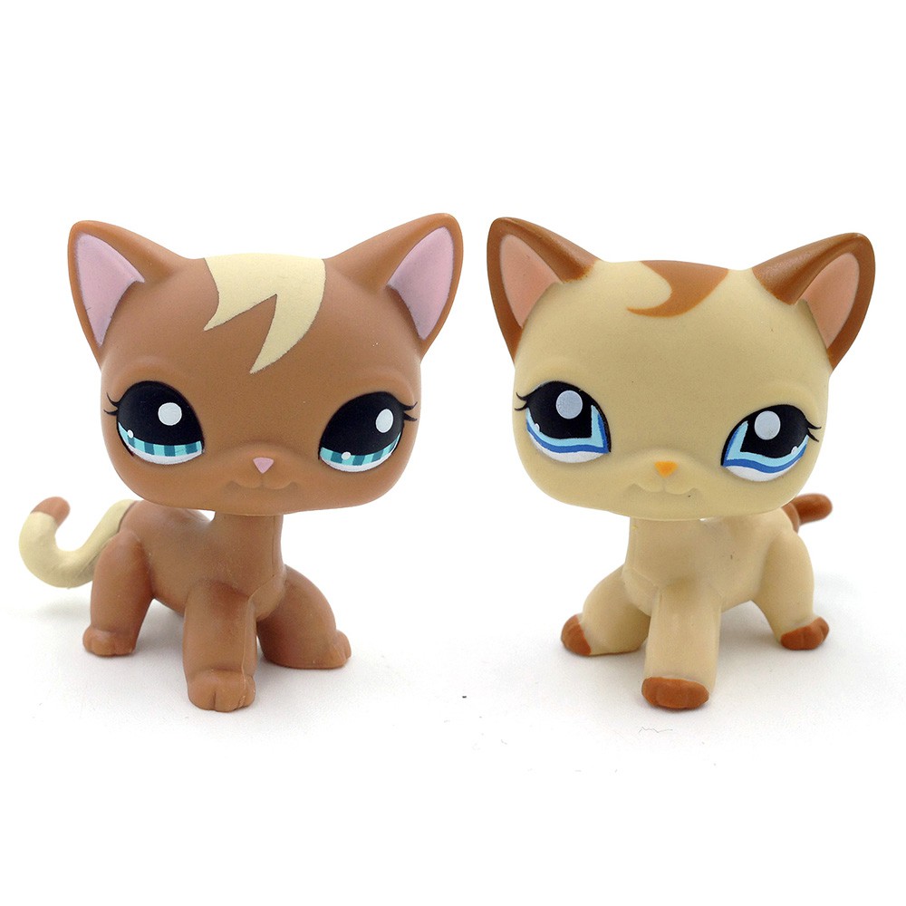 lps brown cat