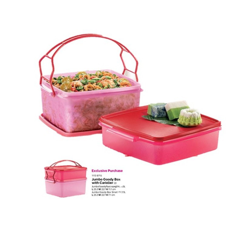 jumbo goody box with cariolier tupperware