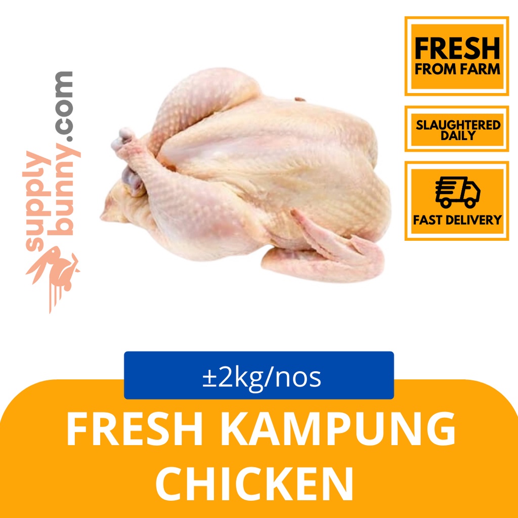 Fresh Kampung Chicken +/- 2KG (sold per pack) 甘榜鸡 (每包出售) DCS Chicken Ayam Kampung
