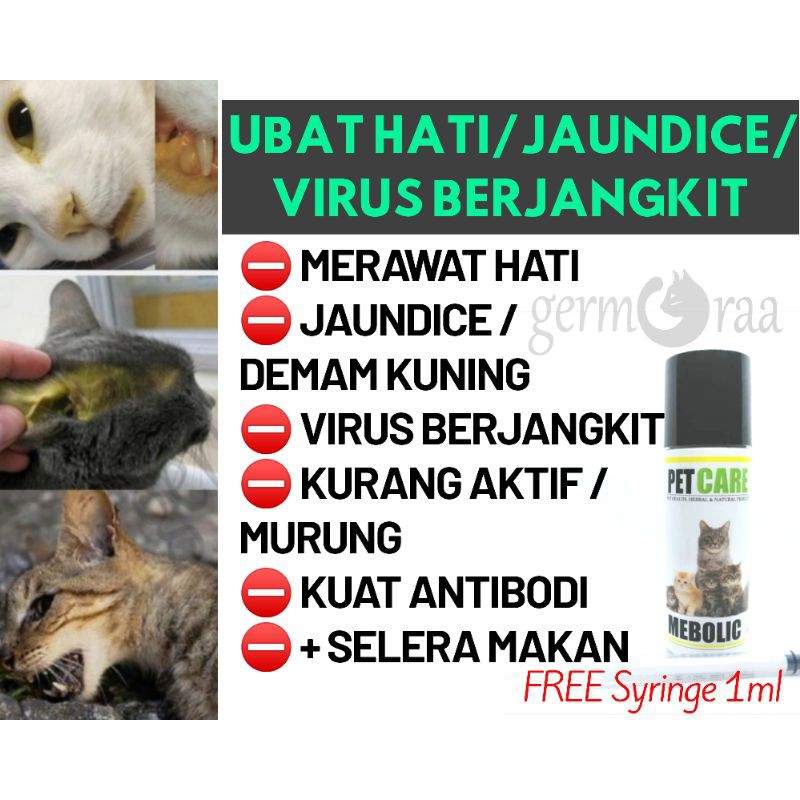 25ml Ubat Hati Jaundice Sakit Kuning Boost Immune Kurang Aktif Murung Virus Berjangkit Tambah Selera Makan Kucing Pet