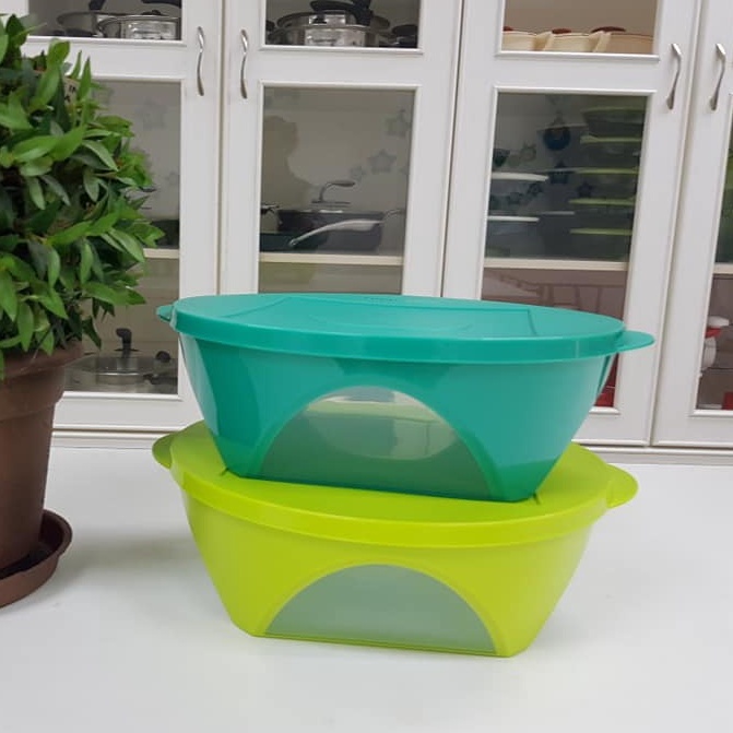 TUPPERWARE Outdoor Dining Bowl (2) 2.5L