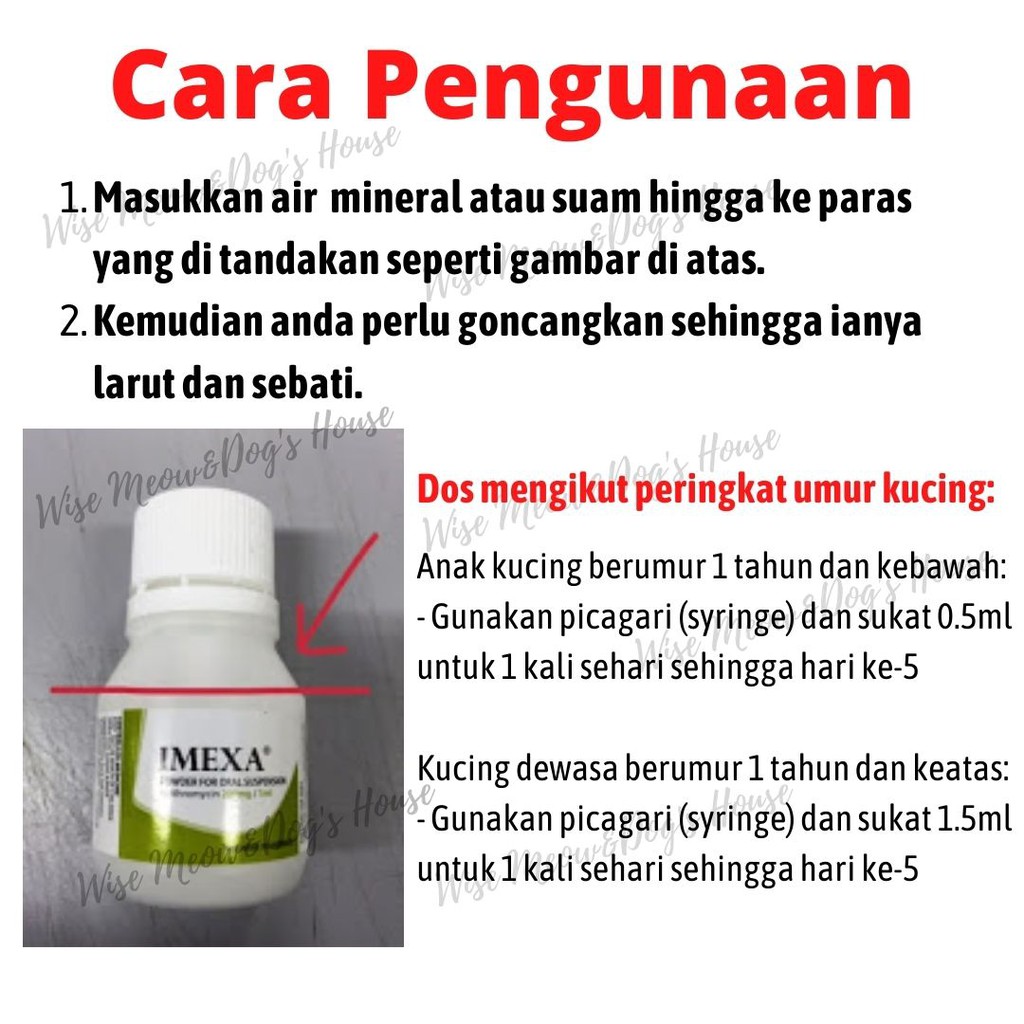 Buy (All In One) Ubat Demam Selsema/Batuk/Flu Kucing - Cold Cough 