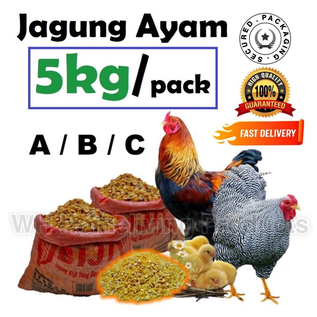 Buy Makanan Jagung Ayam Itik Angsa 鸡料 5kg Seetracker Malaysia