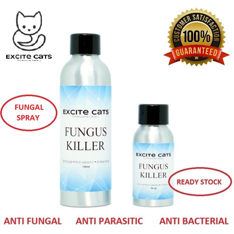Fungus Killer VIP  ubat spray fungus kucing / ubat kurap kucing / ubat