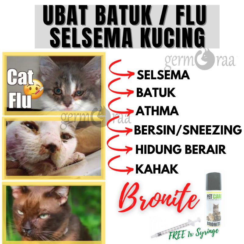 Ubat Batuk Kucing Selsema Cat Flu Sukar Bernafas Lendir Kahak 