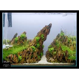 Aquascape Dragon Stone