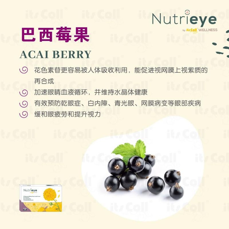 Ready Stock Nutrieye护眼保健品 Shopee Malaysia