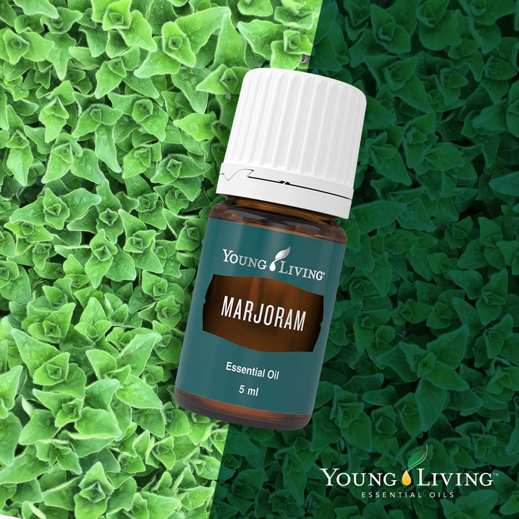 ORIGINAL YOUNG LIVING Marjoram Essential Oil Single Oil 5ml Shopee