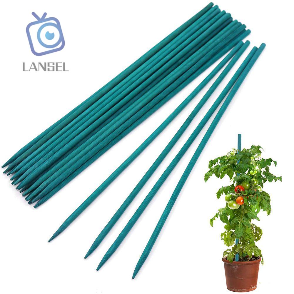 LANSEL 10/30pcs Sturdy Bamboo Stick Flowes Arrangement Plant Stakes ...