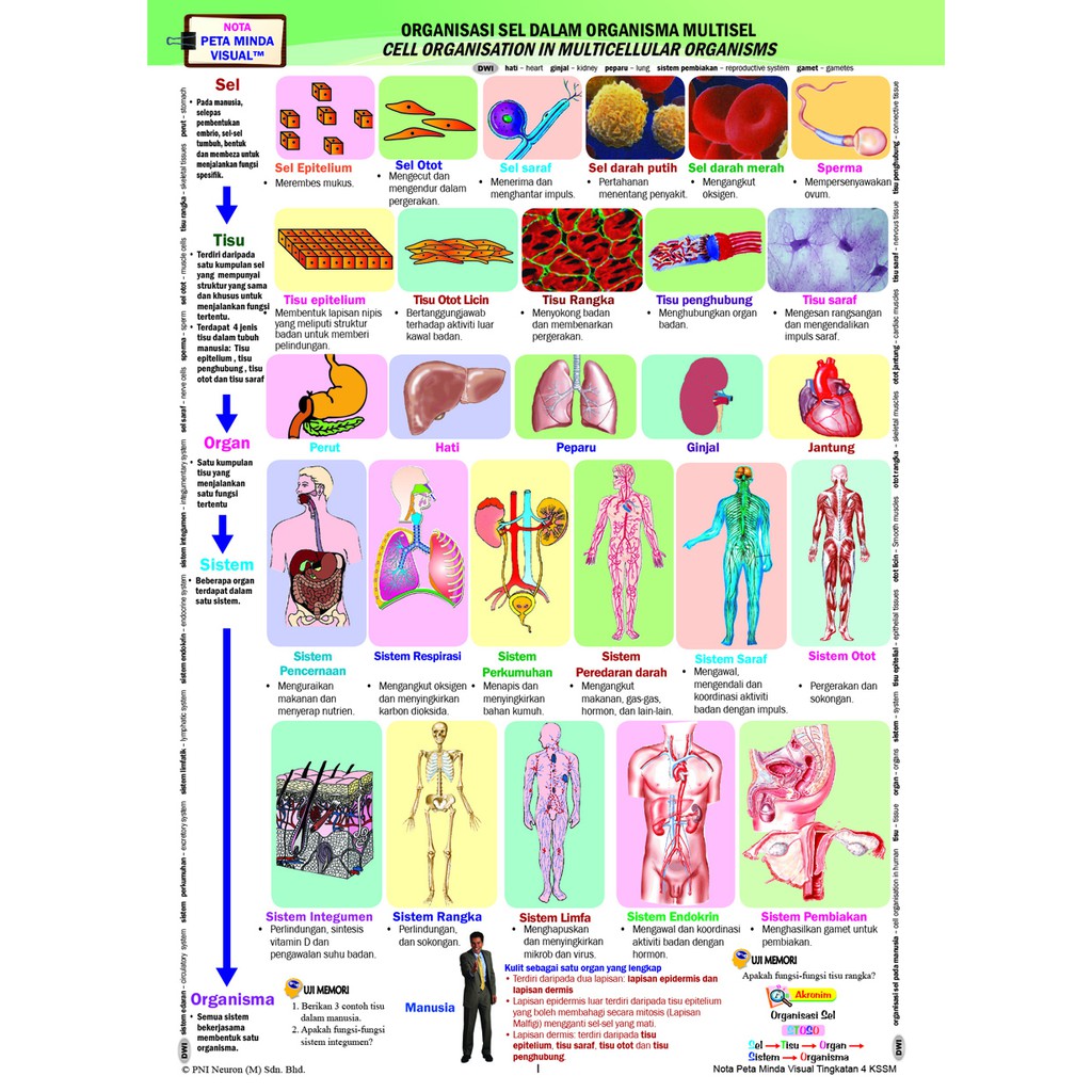 Biologi tingkatan 4 kssm