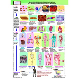 Riang Belajar KSSM Biologi Tingkatan 4 (DLP)  Shopee Malaysia