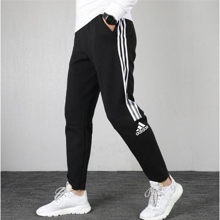 zne pants