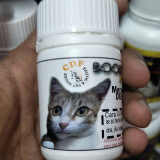 hot item ✔️ ubat kucing demam selesama  Shopee Malaysia