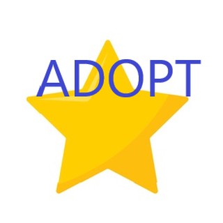 Adopt Me Pets Neon R Ginger Cat Neon R Polar Bear Limited Last Stocks Not In Game Anymore Shopee Malaysia - ginger cat adopt me roblox shopee malaysia