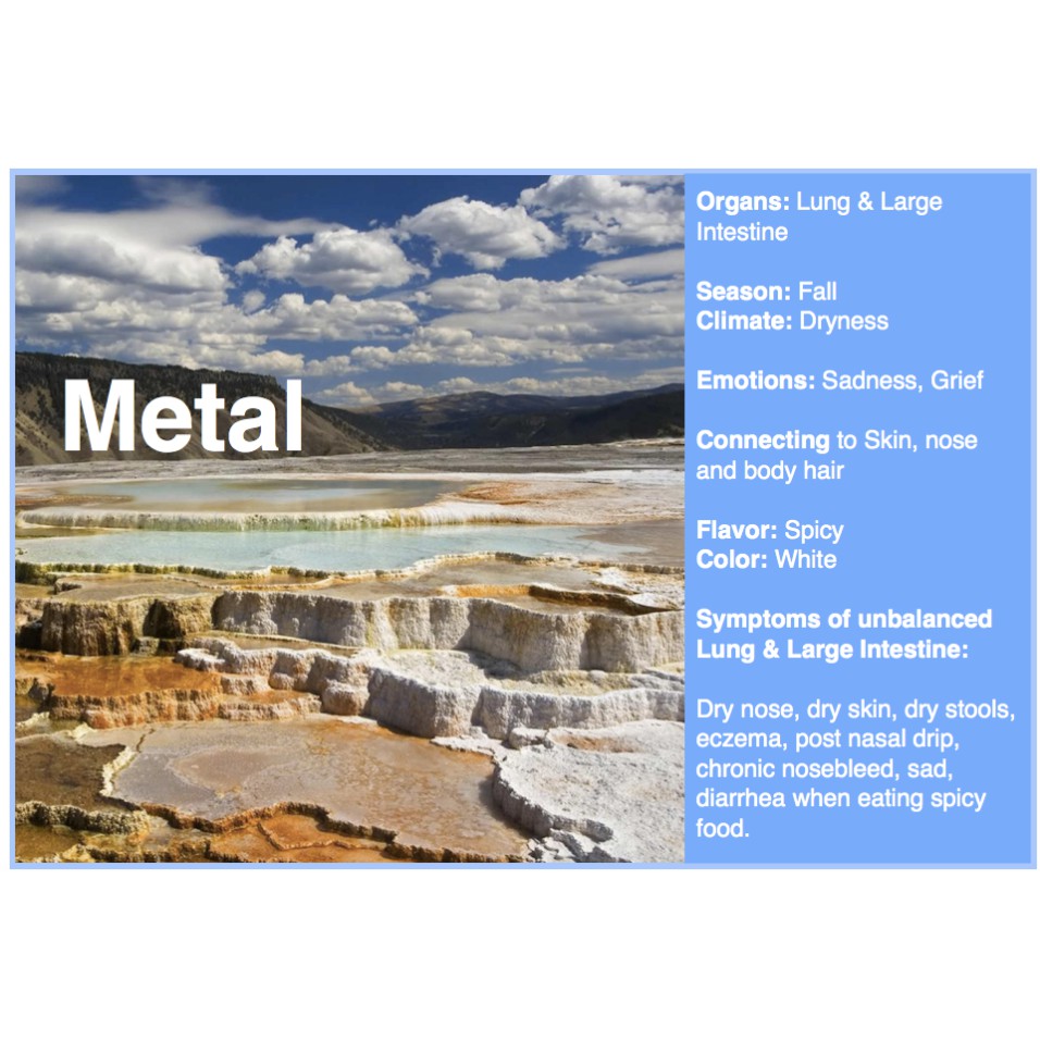 Alphay Run Qiu Nourish Lungs Respiratory System Lingzhi Herbs