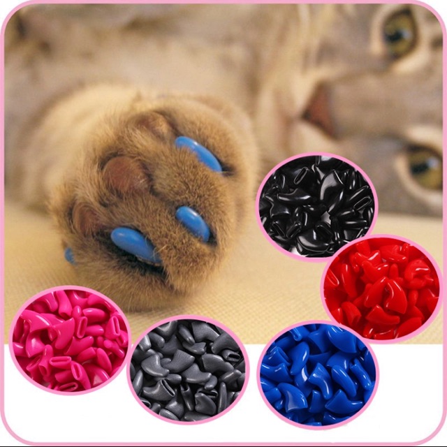 Sarung Kuku Kucing 20 Pcs