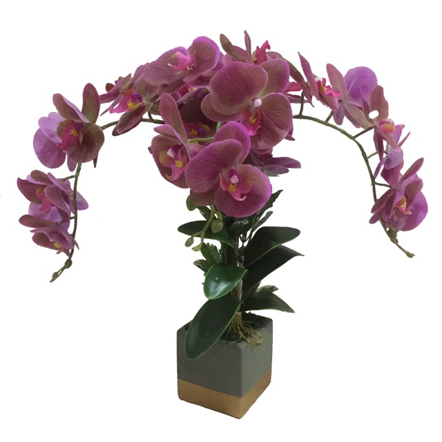 artificial orchids in vase Orchids centerpiece