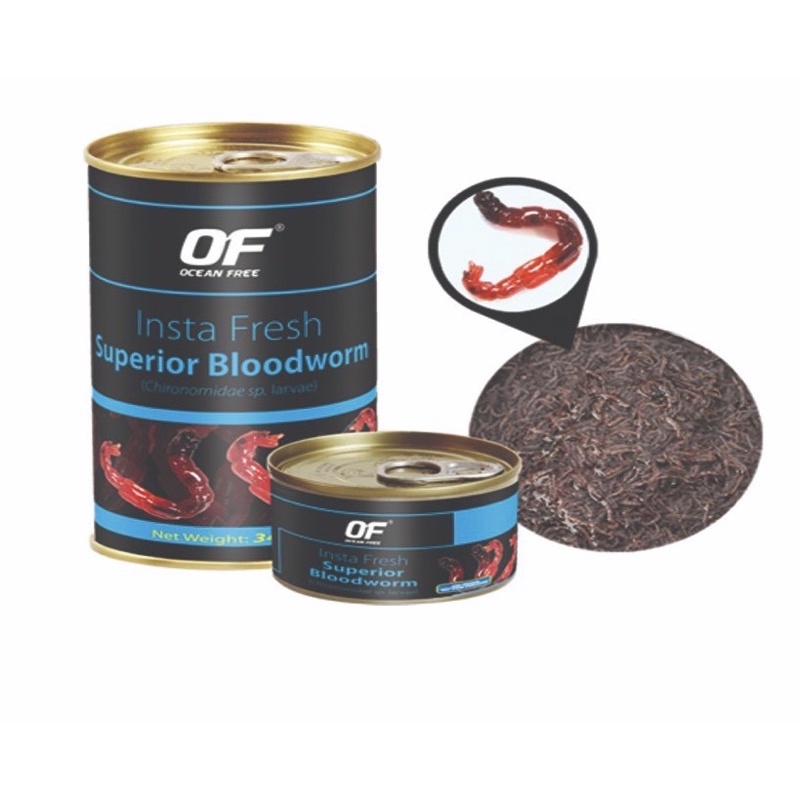 Ocean Free Insta Fresh Superior Bloodworm 100g Canned Cacing Beku Tin