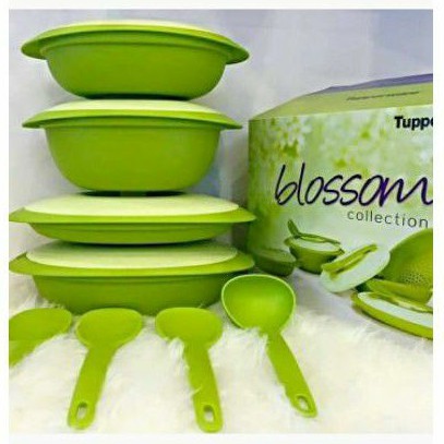 TUPPERWARE BLOSSOM SET HIJAU