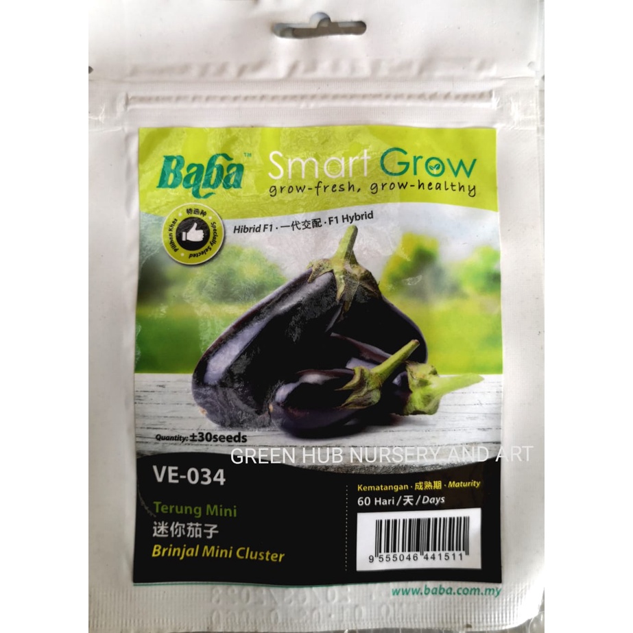 Baba Smart Grow Seed Ve 034 F1 Brinjal Mini Cluster Shopee Malaysia