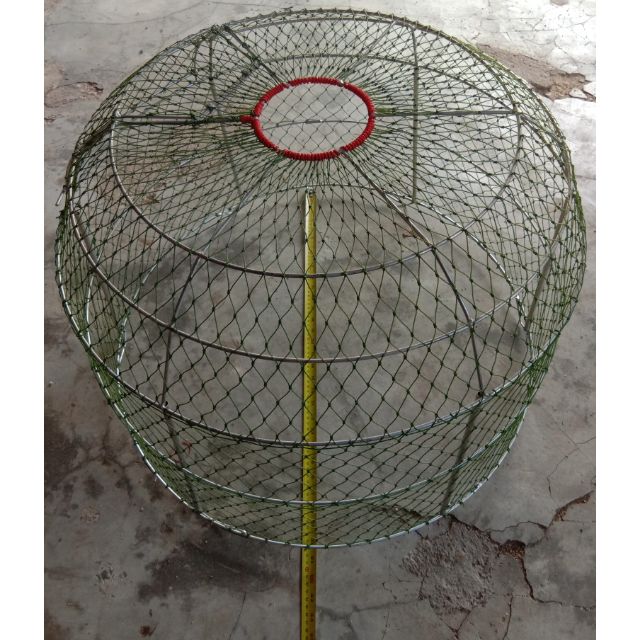 Laris Perkup Kecil Kerudung Reban Ayam Hutan Saiz 2 5kaki Shopee Malaysia