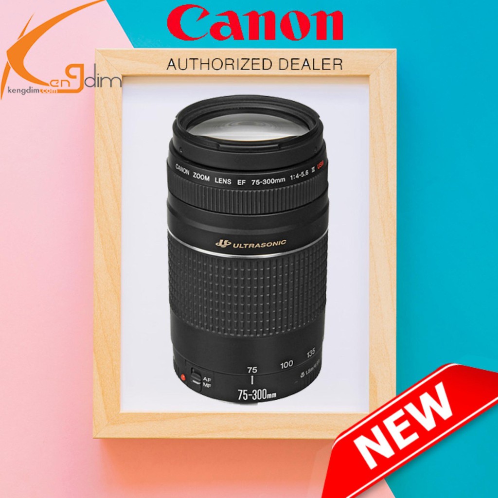 Canon Ef 75 300mm F 4 5 6 Iii Lens Canon Malaysia 1 Year Warranty Shopee Malaysia