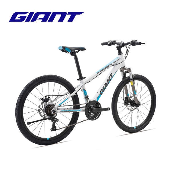 giant atx mountain bike