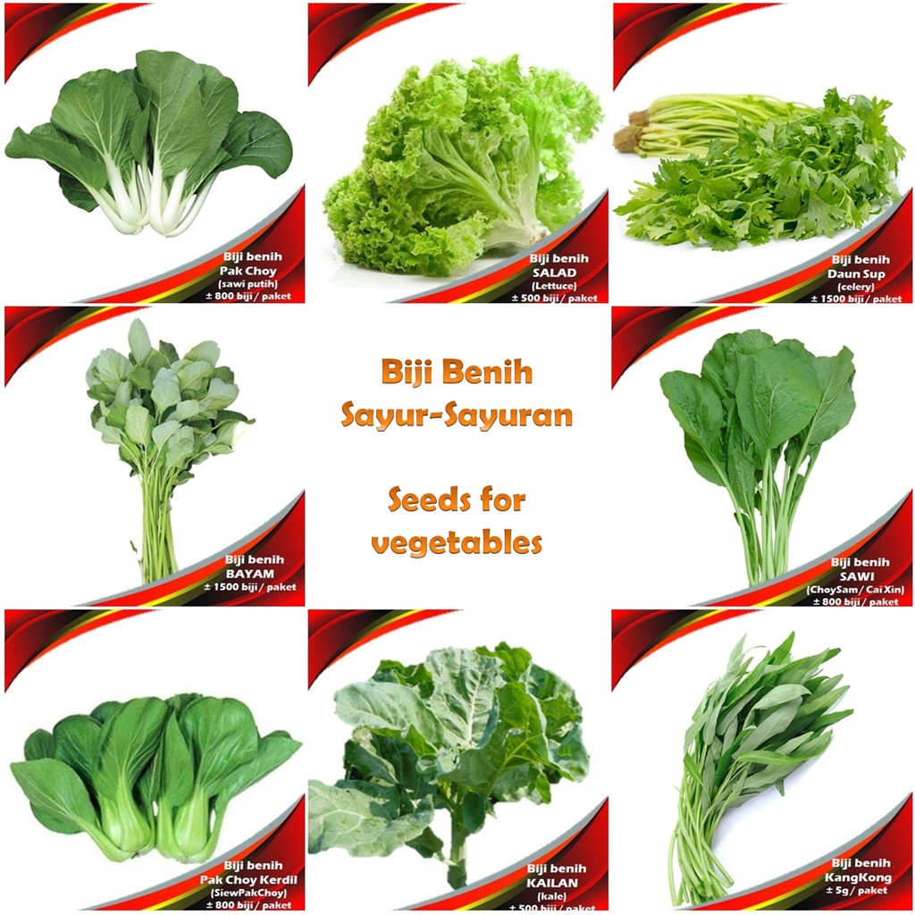  Biji  Benih Sayur Sayuran  Vegetables seeds Shopee Malaysia