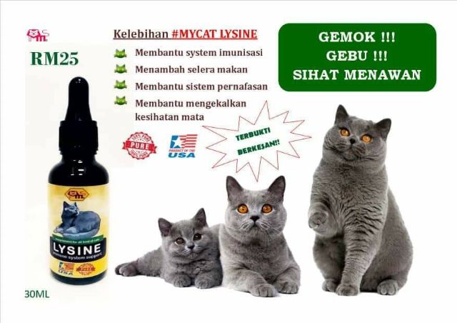 MYCAT LYSINE IMMUNE SYSTEM SUPPORT (KUCING) 30ML  Shopee Malaysia