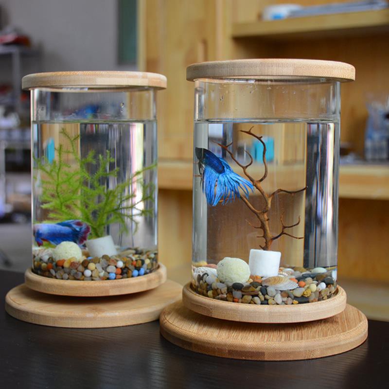 Betta Fish Tank Glass Mini Small Landscaping