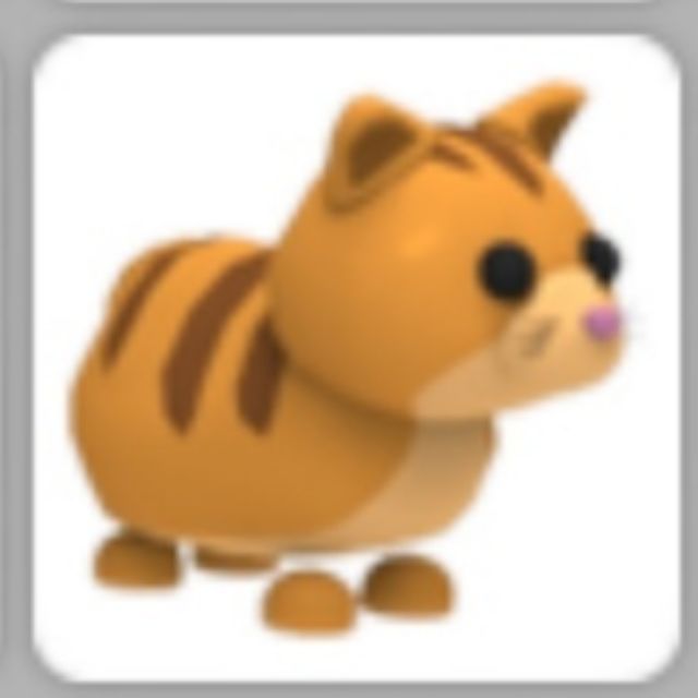 Ginger Cat Adopt Me Roblox Shopee Malaysia - ginger cat adopt me roblox shopee malaysia