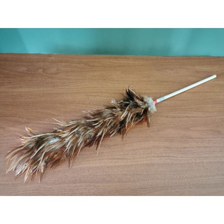 Penyapu Bulu Ayam Feather Duster Duster Cleaner Pembersih Duster Plastik Bulu Ayam Tradisional Penyapu Bulu Plastik Shopee Malaysia