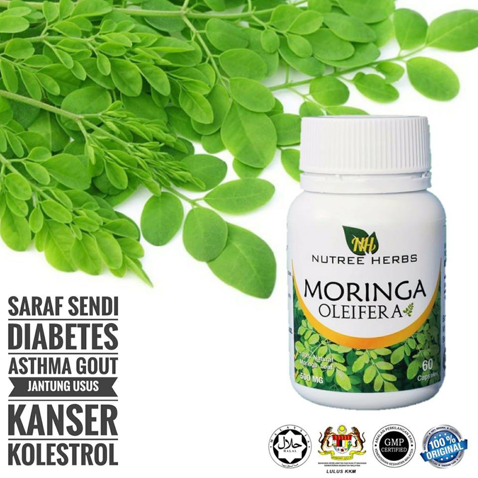 Moringa Oleifera Supplement Kencing Manis Shopee Malaysia