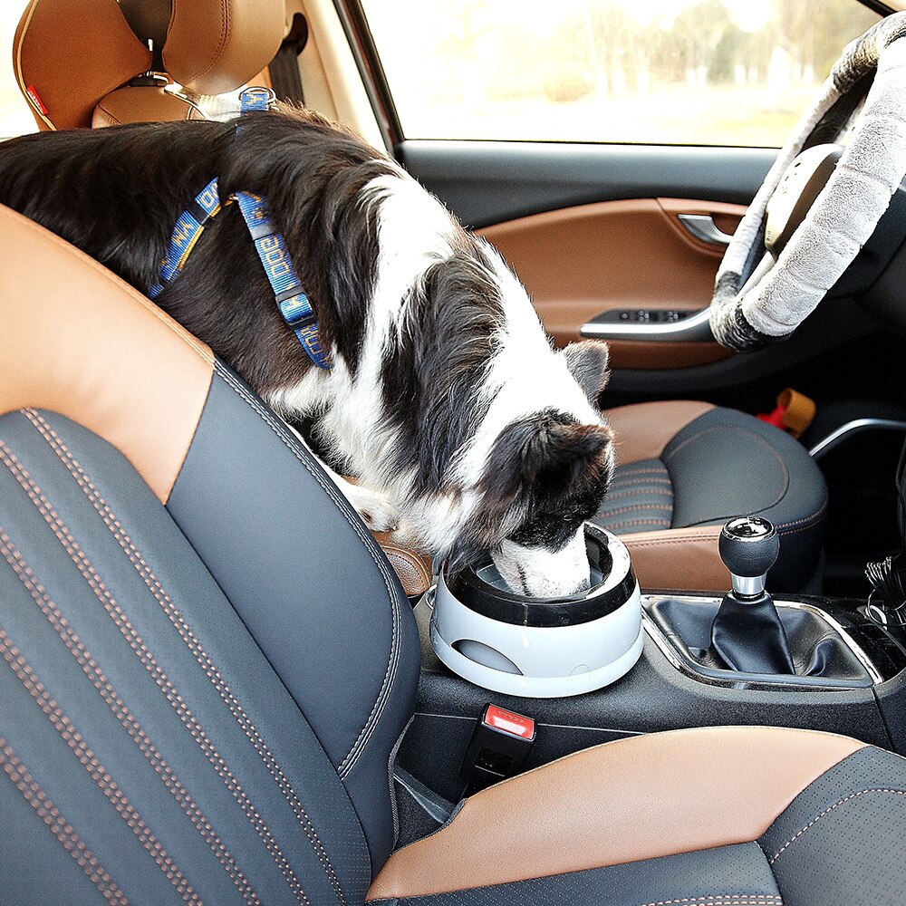 no spill dog bowl for car