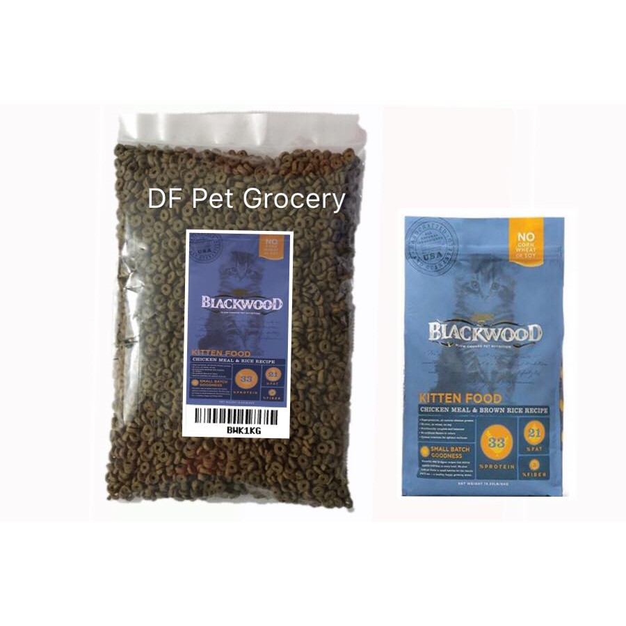 blackwood kitten