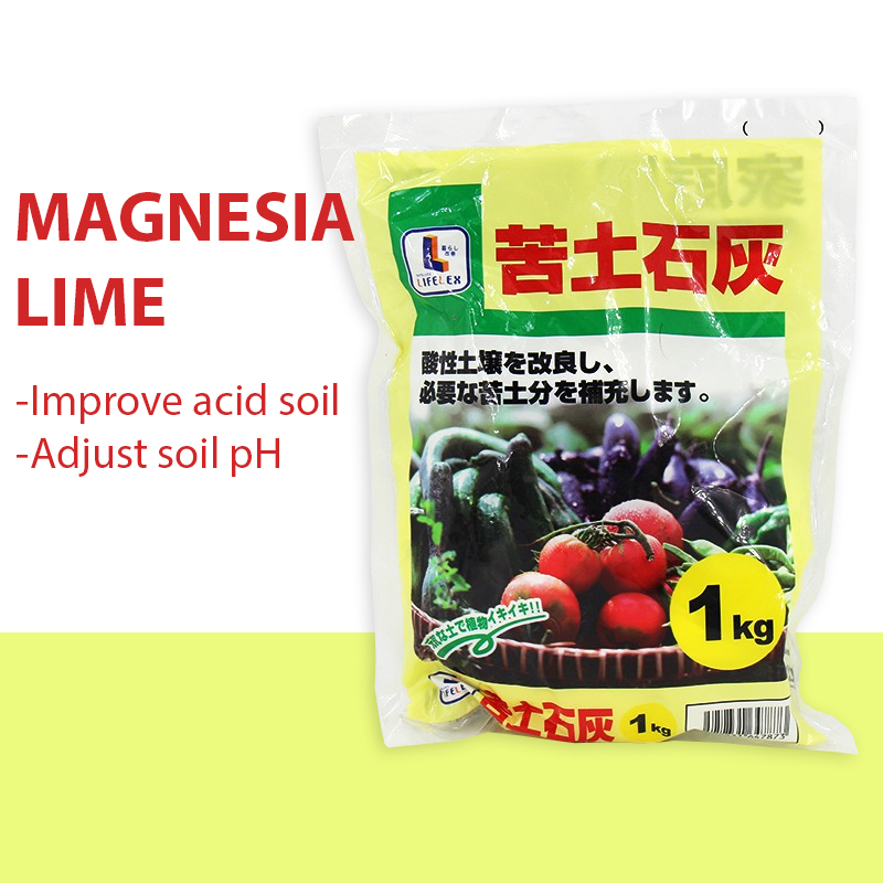 1 Kg Magnesia Lime Gardening Soil For Plant 苦土石灰 Shopee Malaysia