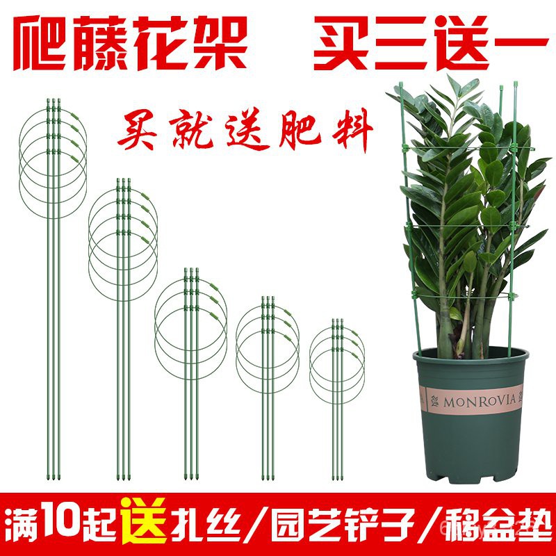 Gardening Bracket 园艺支架园艺花架花盆蟹爪兰造型扶植种花嫁接骨架铁丝支柱西红0